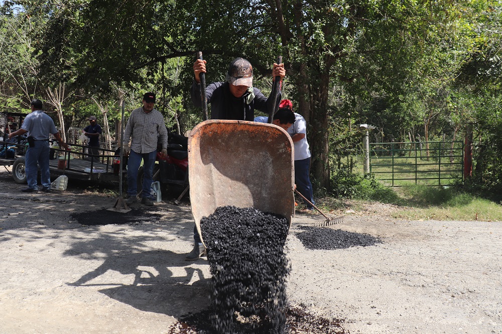 BACHEO2025