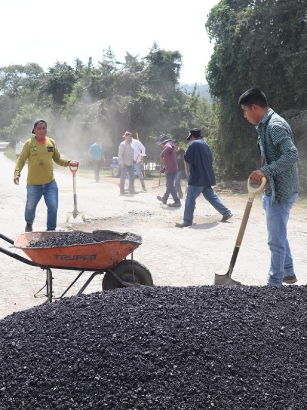 BACHEO2025